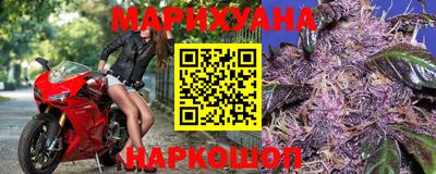 прущие крисы Новозыбков
