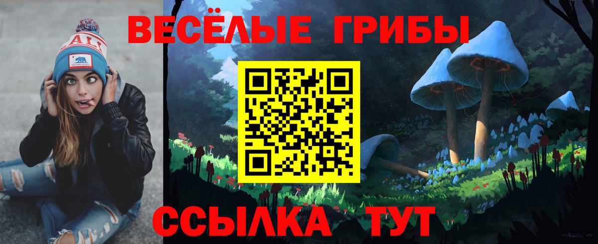Нарьян-Мар  Псилоцибиновые грибы прущие грибы  Вход с VPN  Галлюциногенные грибы Psilocybe 